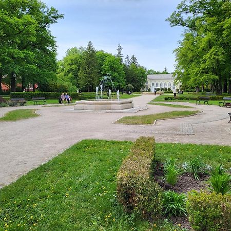 Villa Klara Cieplice Jelenia Gora Bagian luar foto