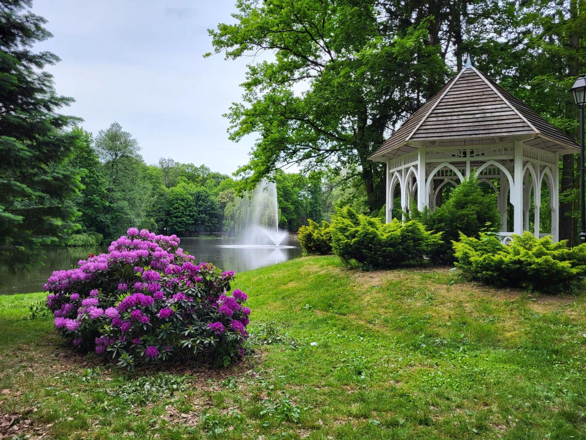 Villa Klara Cieplice Jelenia Gora Bagian luar foto